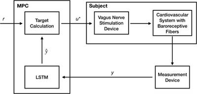 Data Driven Control of Vagus Nerve Stimulation for the Cardiovascular System: An in Silico Computational Study